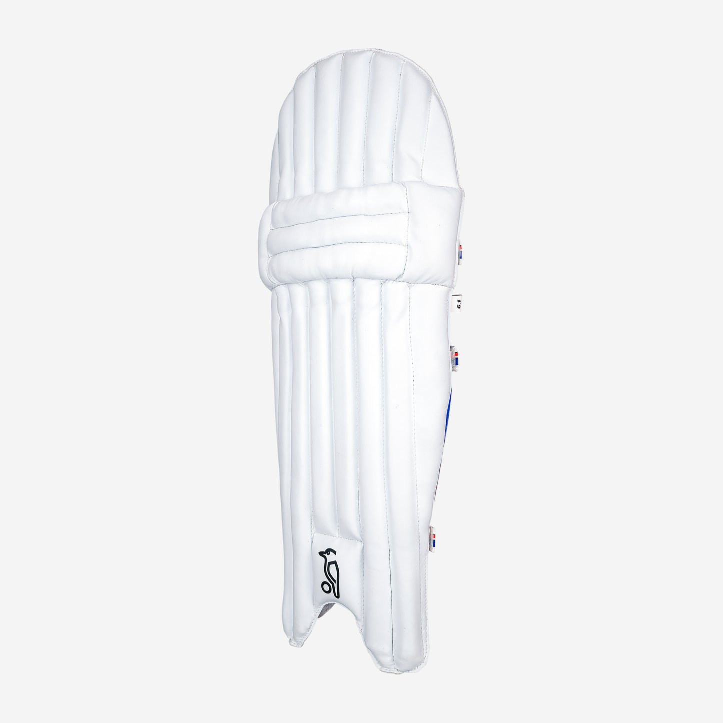 Rapid 6.1 Batting Pads