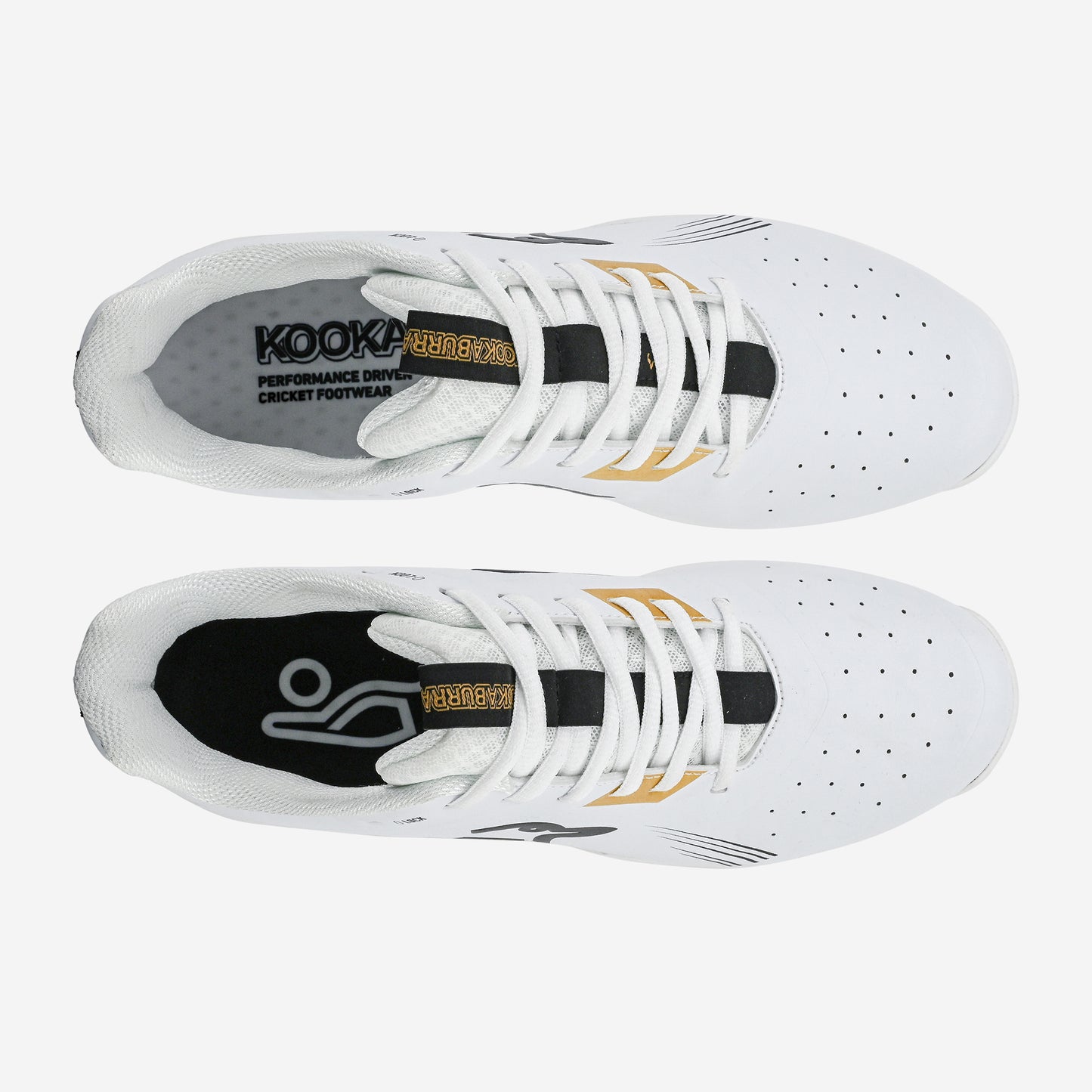 KC 3.0 Spike - Gold/Black