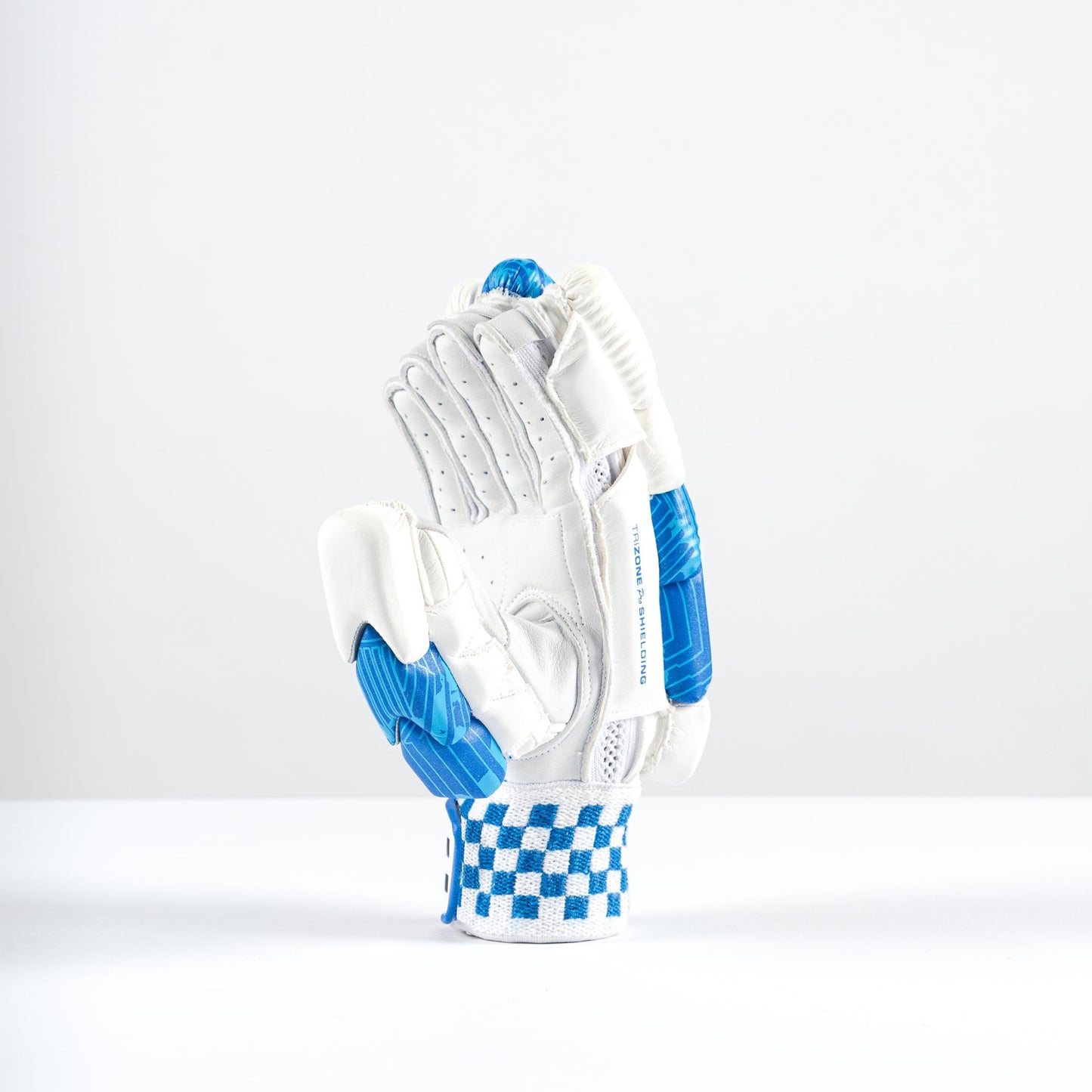 Gray-Nicolls Havoc 1.0 2000 Glove