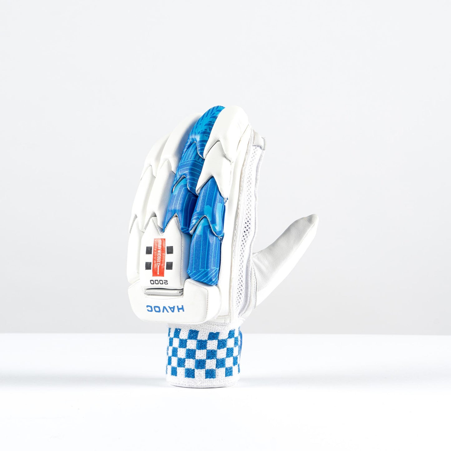 Gray-Nicolls Havoc 1.0 2000 Glove