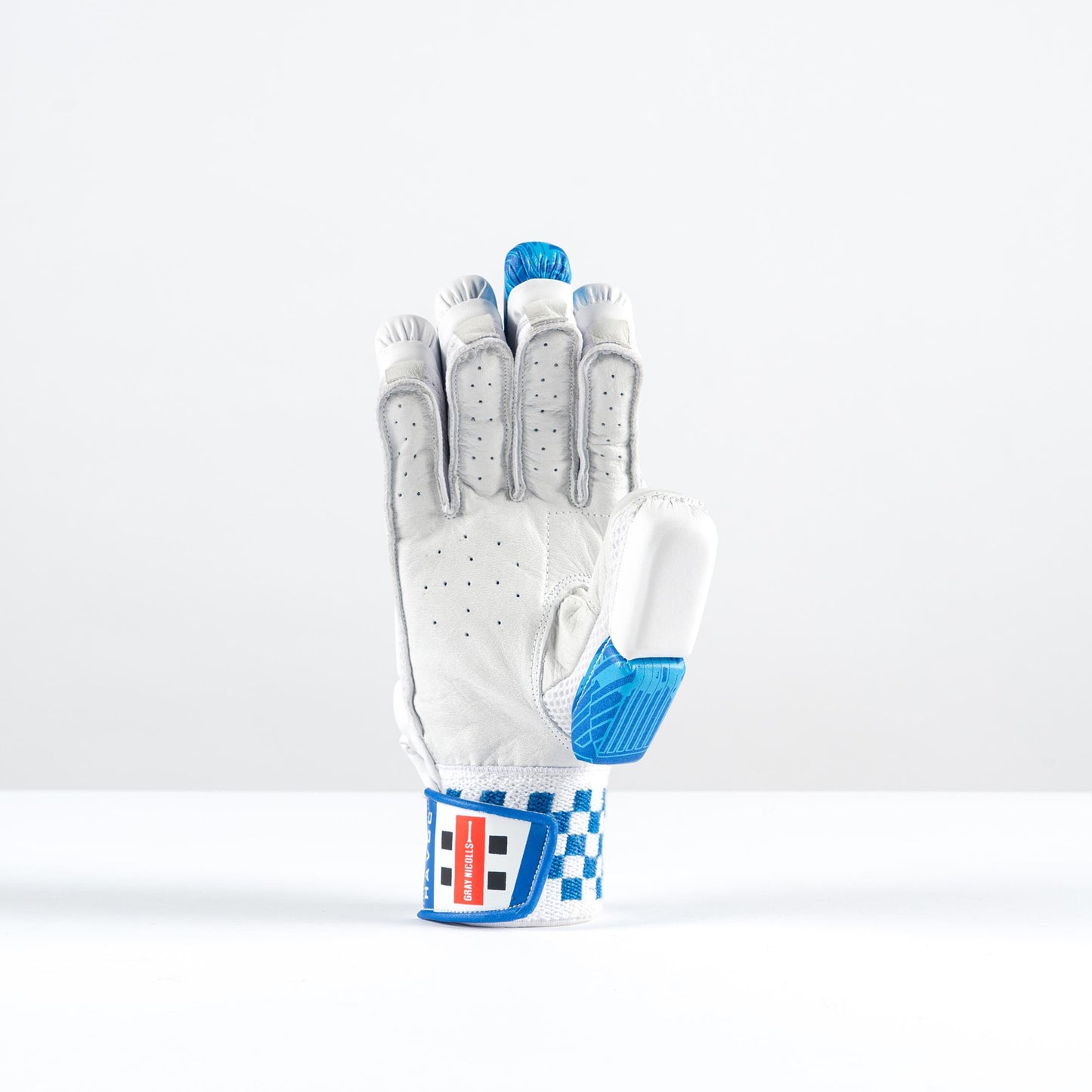 Gray-Nicolls Havoc 1.0 350 Glove
