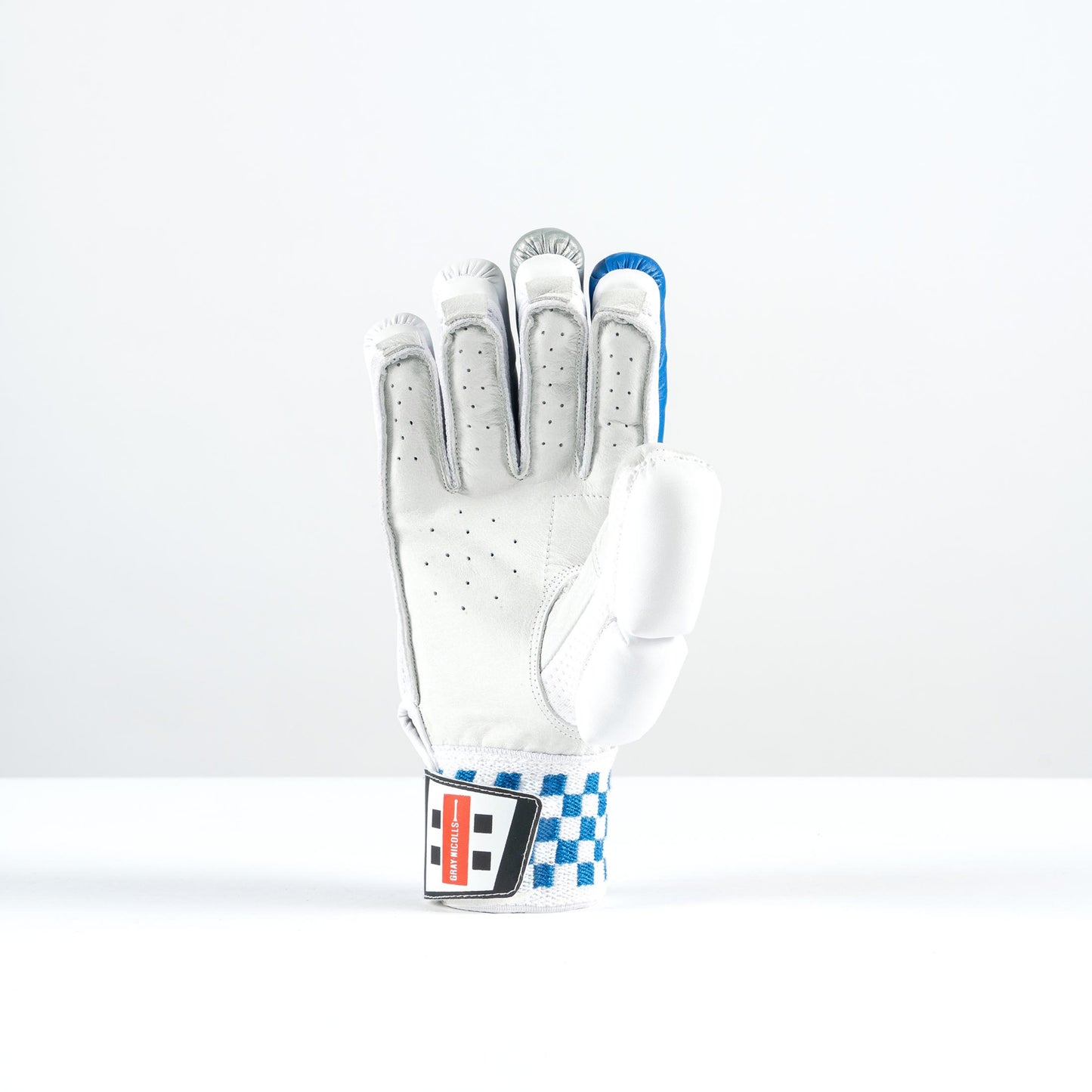 Gray-Nicolls GN100X Glove